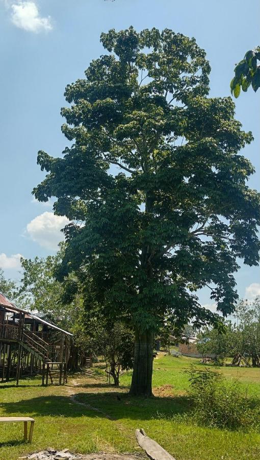 Casa Kukama Lodge Ікітос Екстер'єр фото